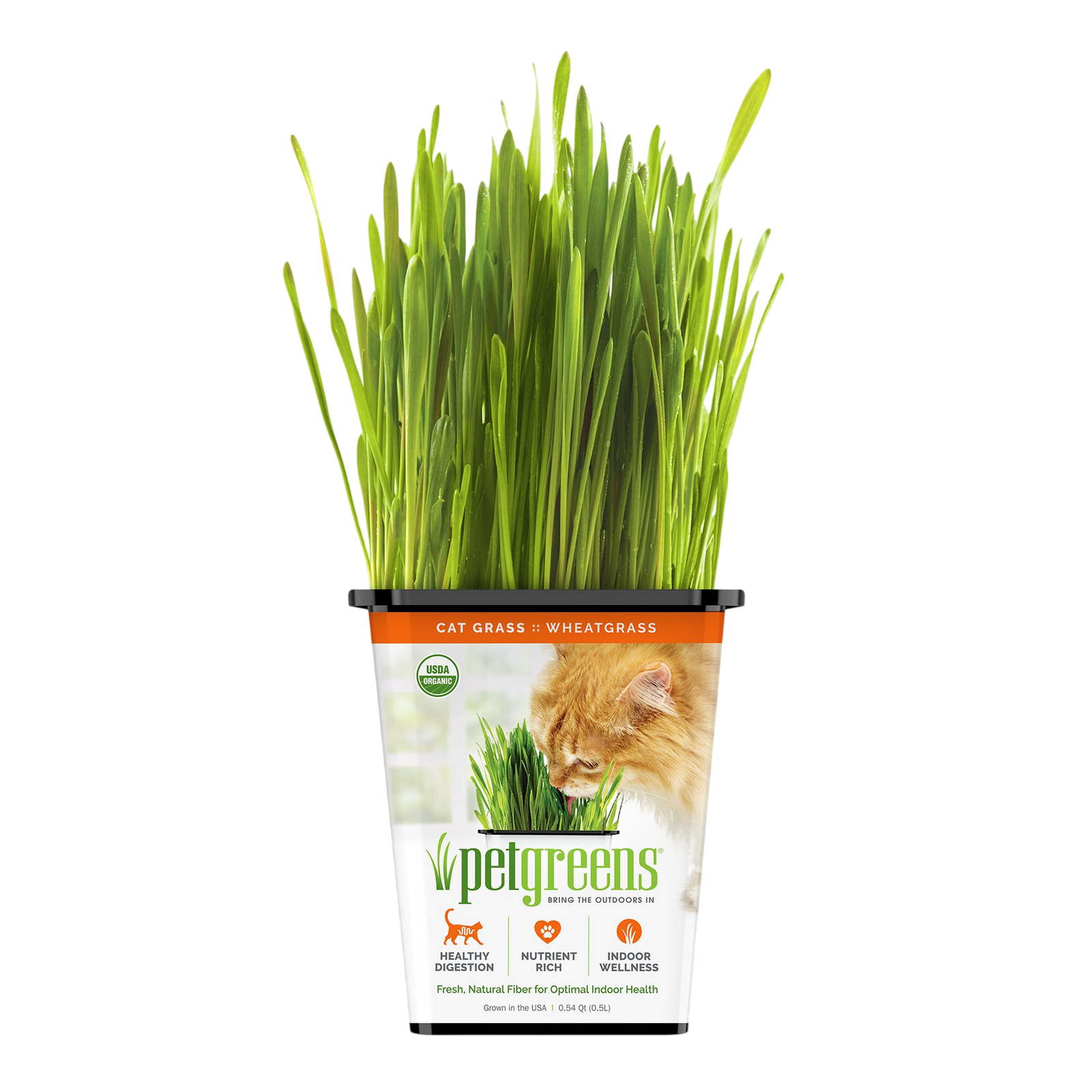Pet Greens 100% Organic Wheatgrass Live Cat Grass