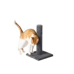 Whisker City® 19-in Carpet Scratching Post