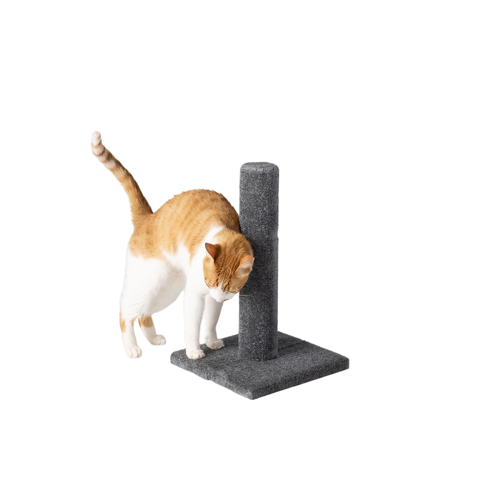 Whisker City® 19-in Carpet Scratching Post