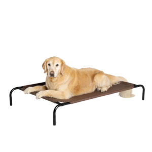 Top Paw® Indoor/Outdoor Elevated Dog Bed