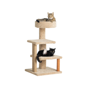 Whisker City® 37-in Cozy Climber Cat Tower (COLOR VARIES)