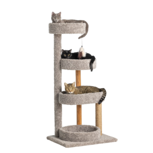 Whisker City® 51-in Treetop Terrace Cat Tower (COLOR VARIES)