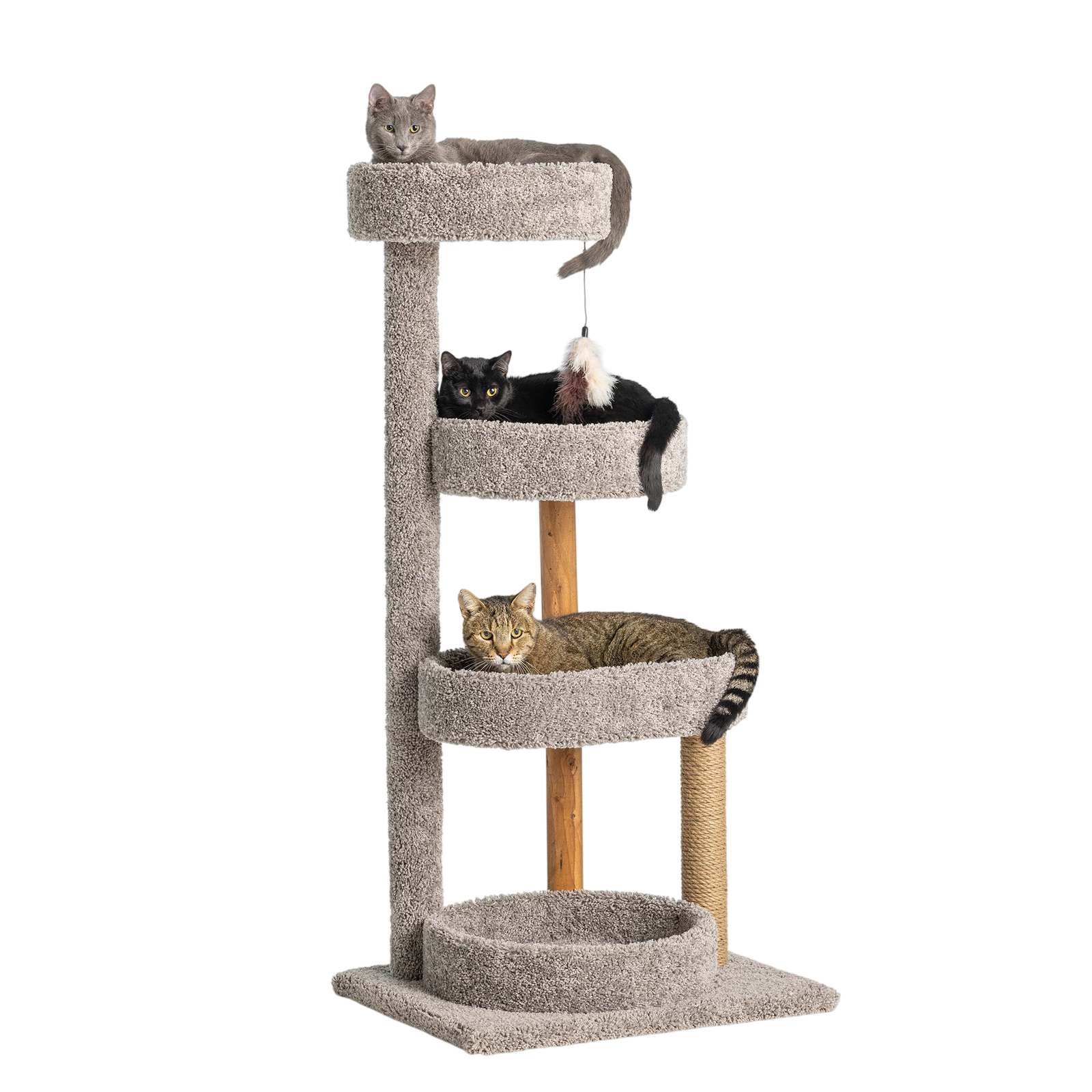 Whisker City® 51-in Treetop Terrace Cat Tower (COLOR VARIES)