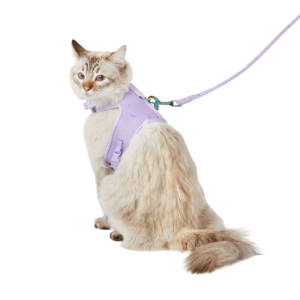 Whisker City® Cat Leash & Cat Harness, Combo, Kitten Size Avaibale, Purple Moons