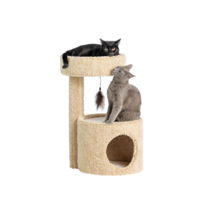 Whisker City® 27-in Cat Condo (COLOR VARIES)