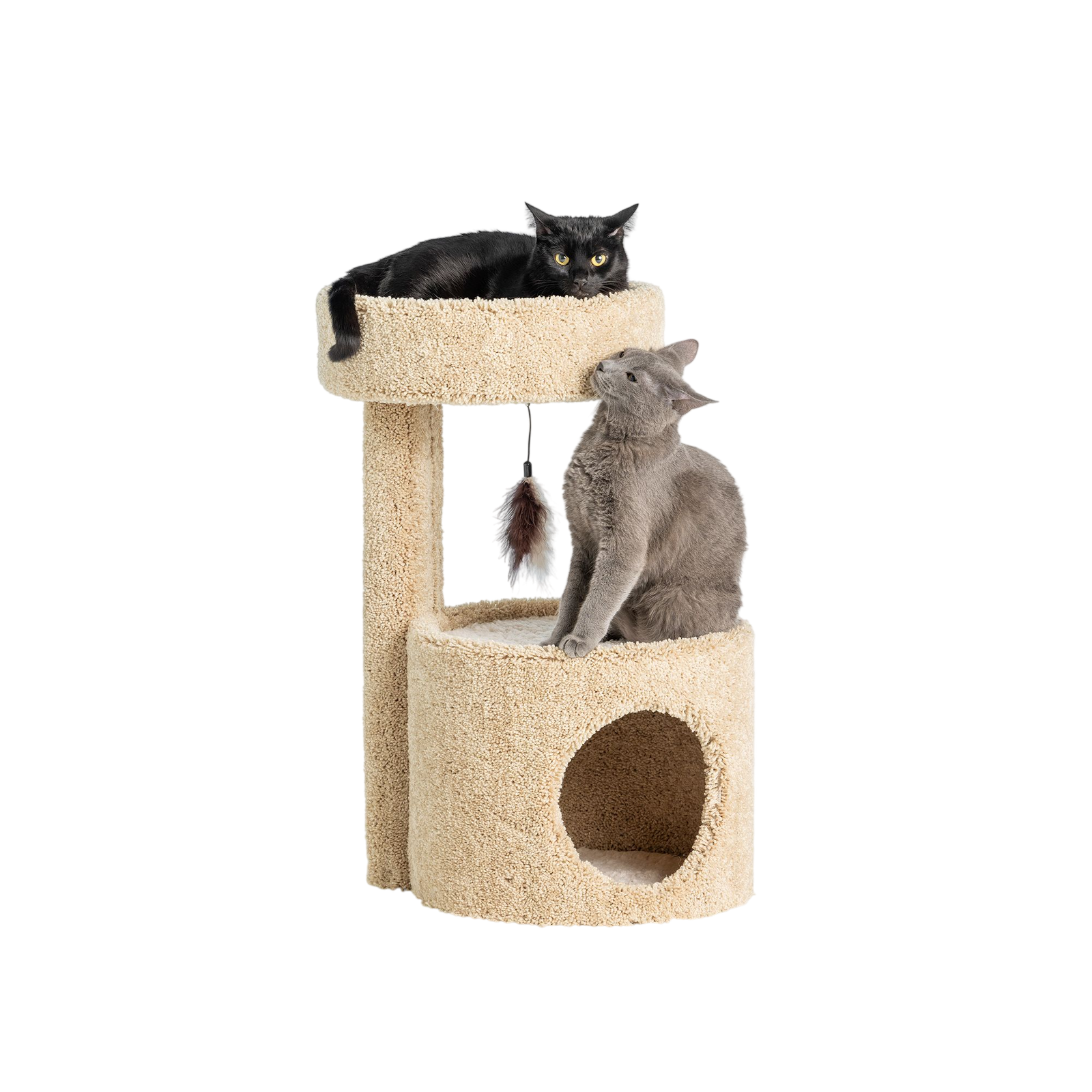 Whisker City® 27-in Cat Condo (COLOR VARIES)