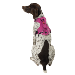 KONG® Poop Bag Dog Harness, Waste Bag Holder, Adjustable, Durable, Multiple Sizes & Colors