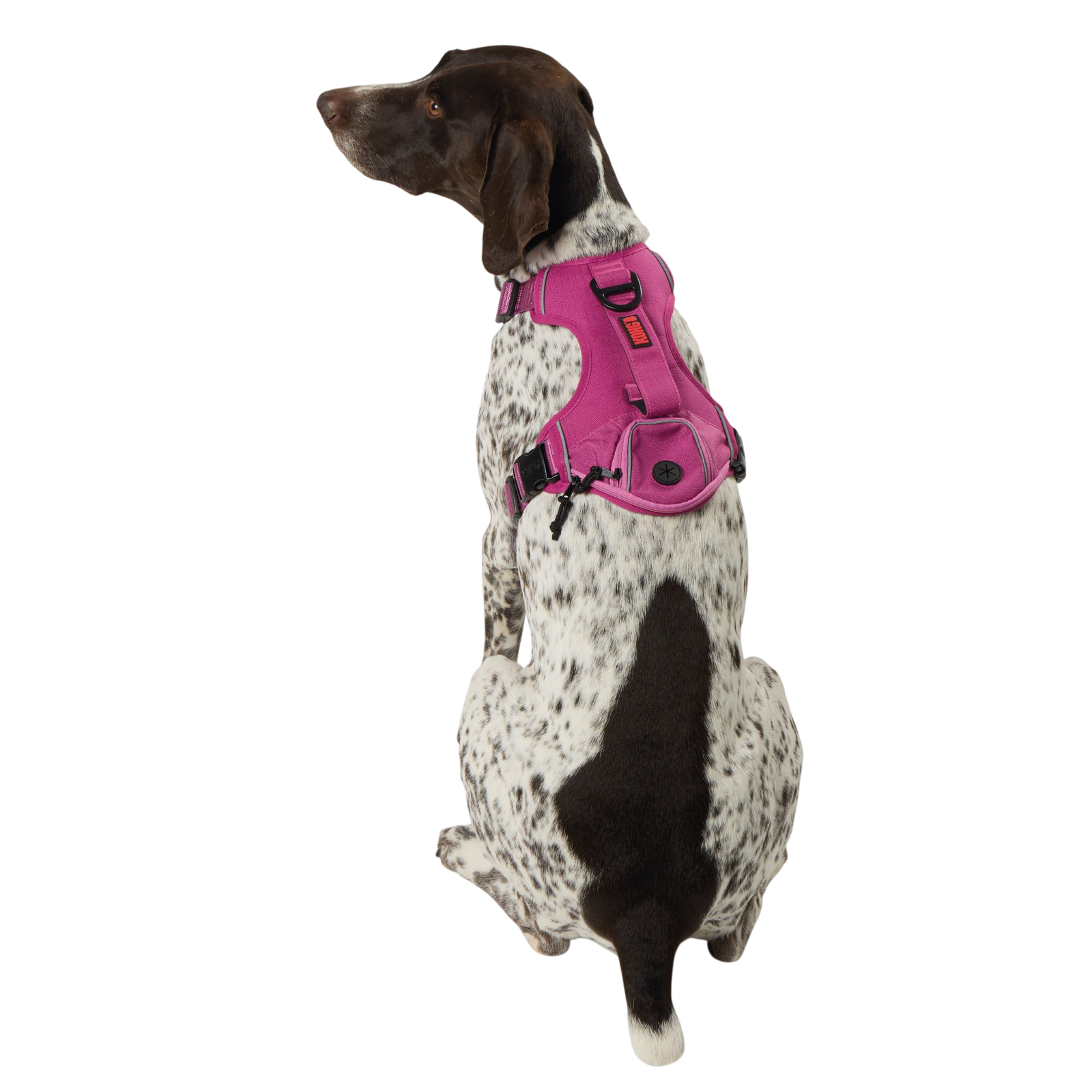 KONG® Poop Bag Dog Harness, Waste Bag Holder, Adjustable, Durable, Multiple Sizes & Colors