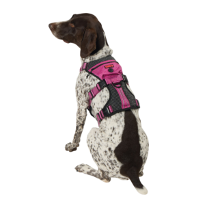 KONG® Safety Dog Harness, Adjustable, Durable, Multiple Sizes & Colors