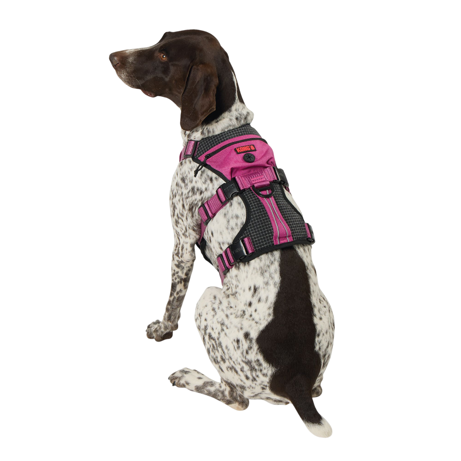KONG® Safety Dog Harness, Adjustable, Durable, Multiple Sizes & Colors