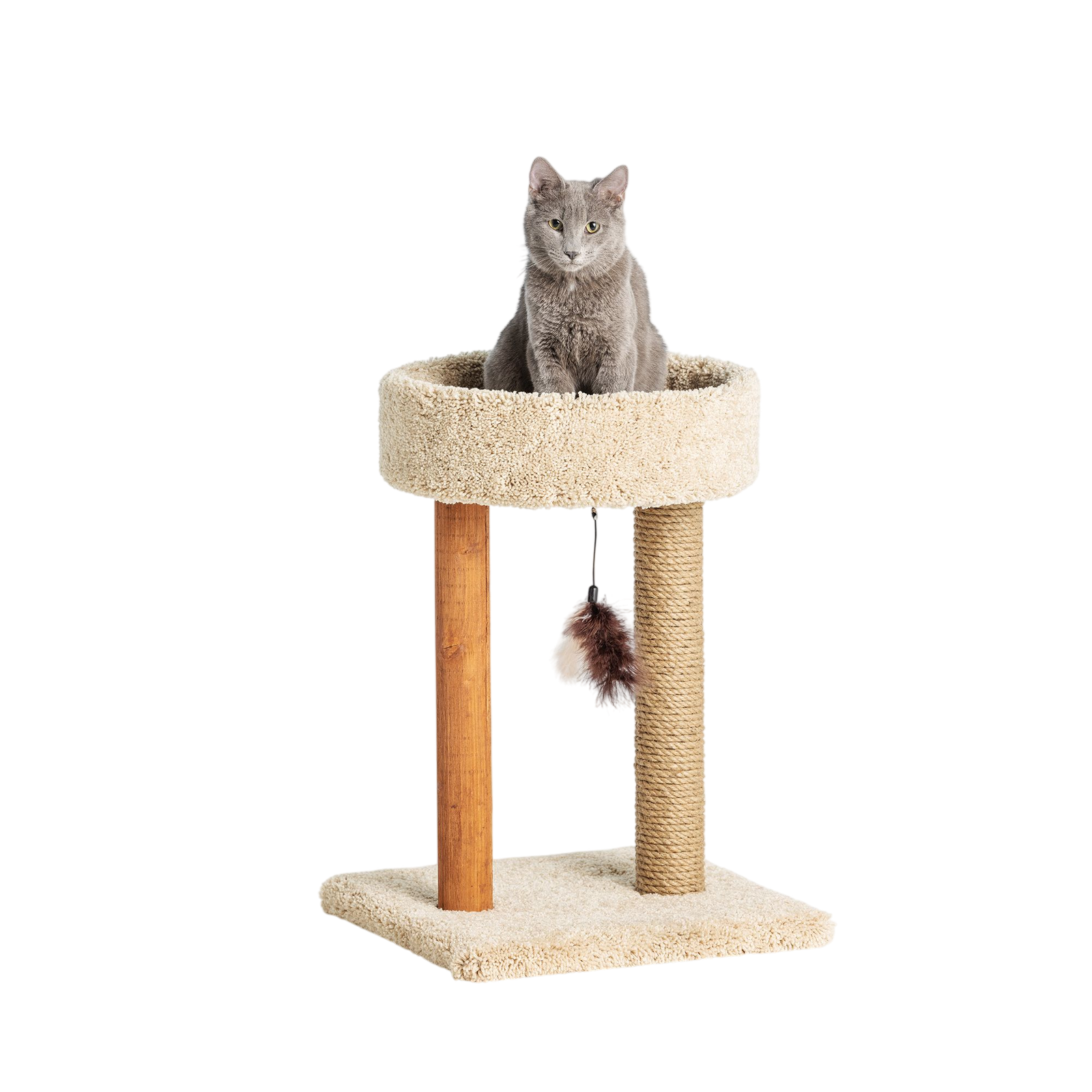 Whisker City® 23-in Scratch & Play Two Posts Cuddler (COLOR VARIES)