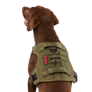 KONG® Double Handle Vest, Adjustable, Dog Harness