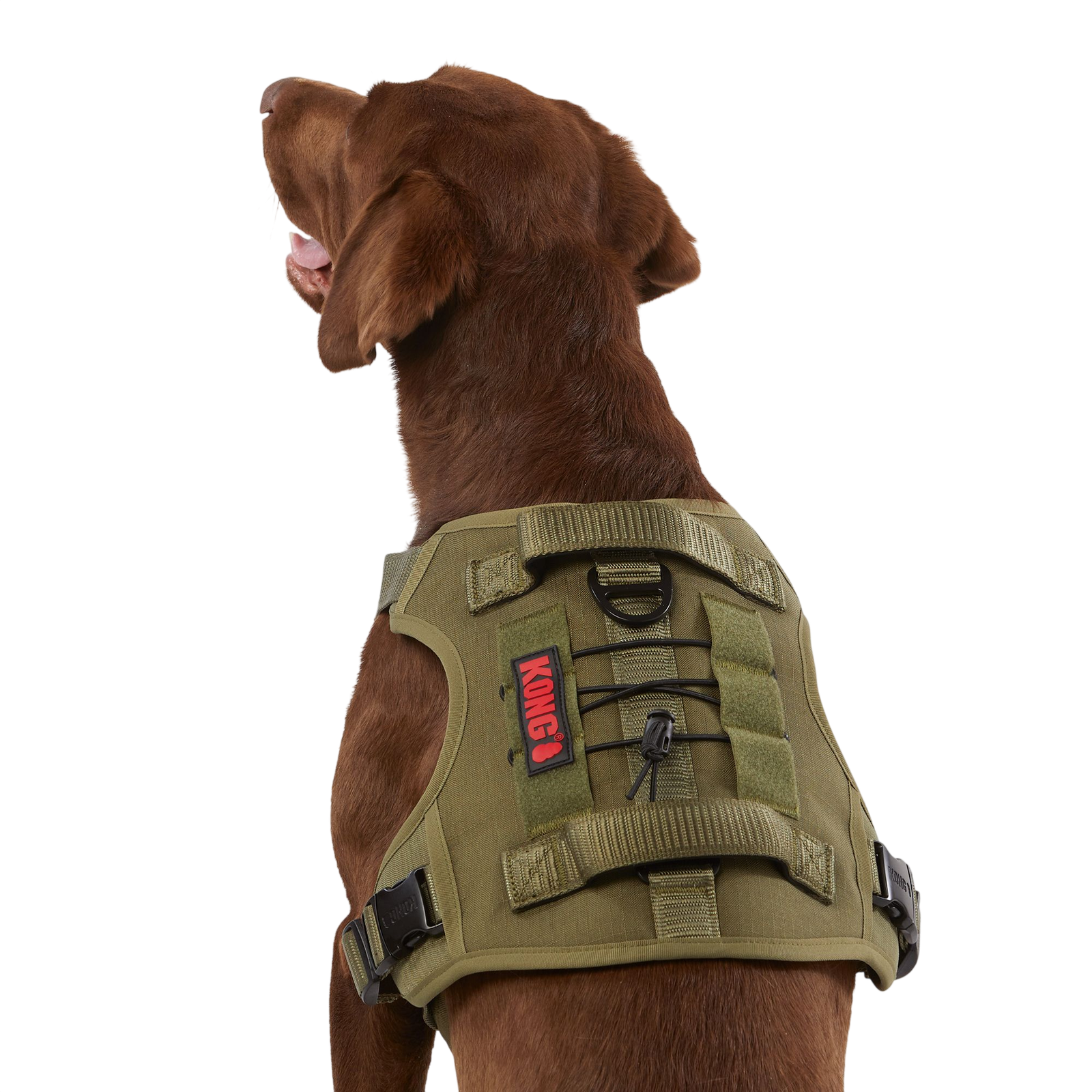 KONG® Double Handle Vest, Adjustable, Dog Harness